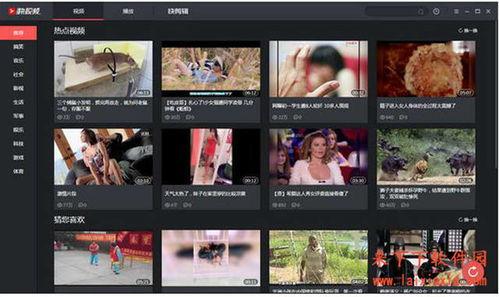 热点爆料视频在哪拍摄好,探寻幕后拍摄秘境  第2张